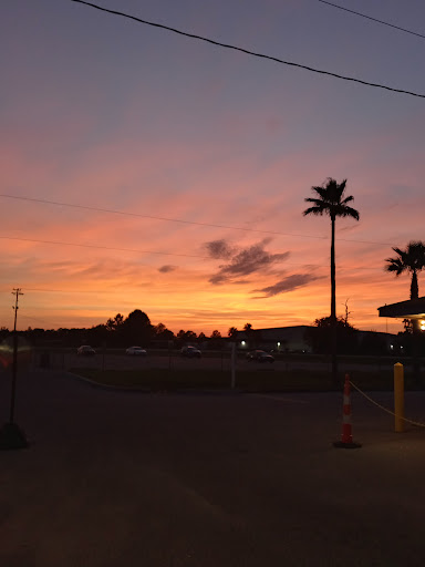 Auto Auction «Manheim Lakeland», reviews and photos, 8025 N State Road 33, Lakeland, FL 33809, USA