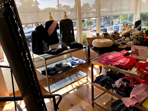 Pet Supply Store «Diggidy Dog», reviews and photos, Ocean Ave & Monte Verde St, Carmel-By-The-Sea, CA 93923, USA