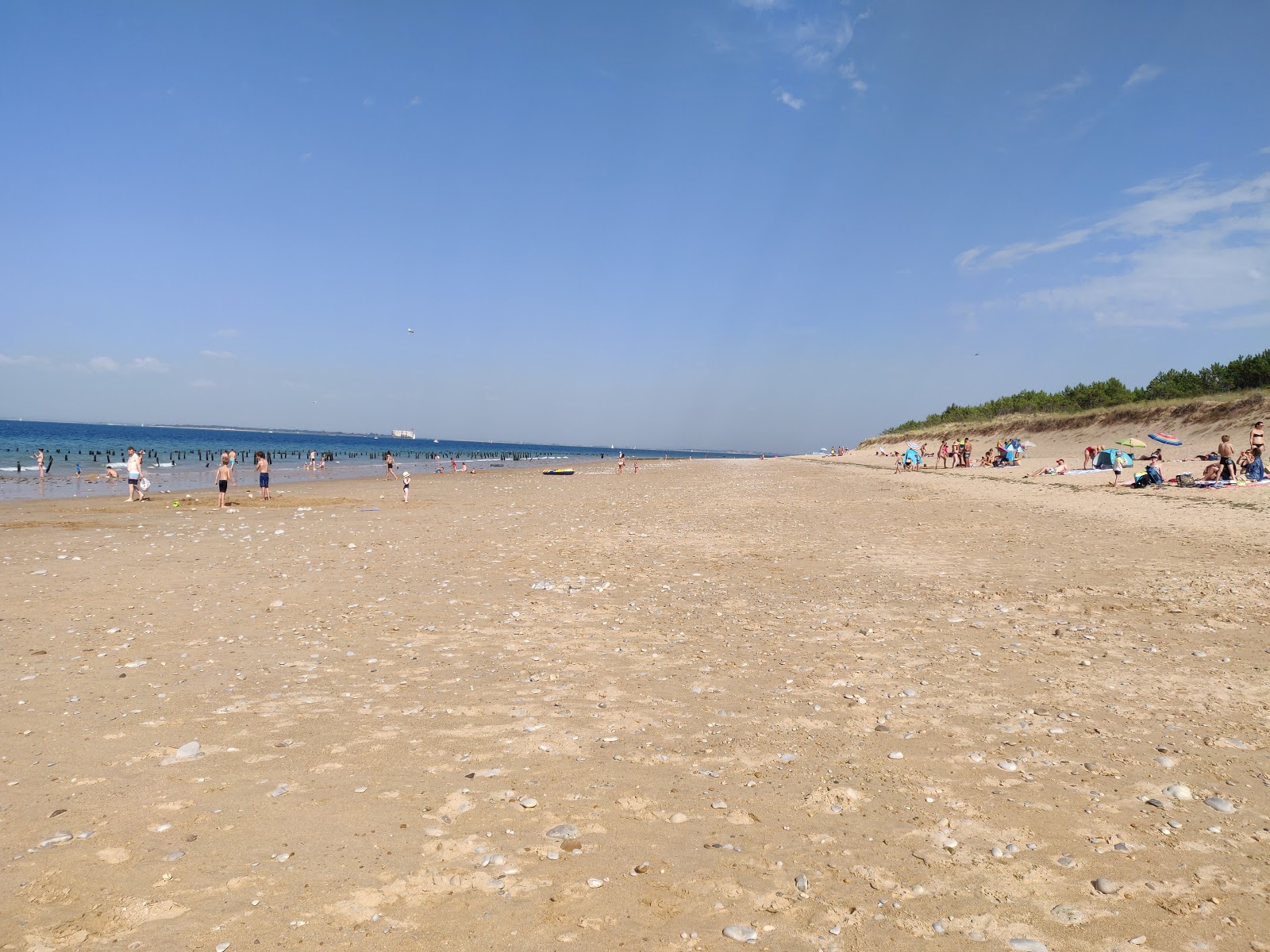 Plage Des Saumonards'in fotoğrafı çok temiz temizlik seviyesi ile
