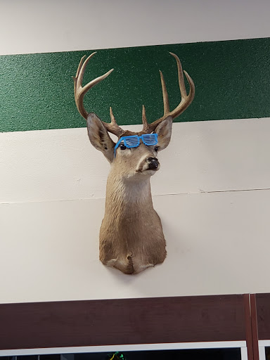 Money Mart Pawn & Jewery, 3818 S Staples St, Corpus Christi, TX 78411, USA, 