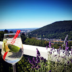 Photo n°1 de l'avis de Dominic.o fait le 01/07/2018 à 16:07 sur le  Schlosshotel Molkenkur à Heidelberg
