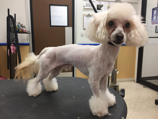 Pet Supply Store «Petsense Foley», reviews and photos, 2139 S McKenzie St, Foley, AL 36535, USA