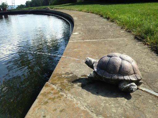 Garden «Wethersfield Farm», reviews and photos, 88 Wethersfield Way, Amenia, NY 12501, USA