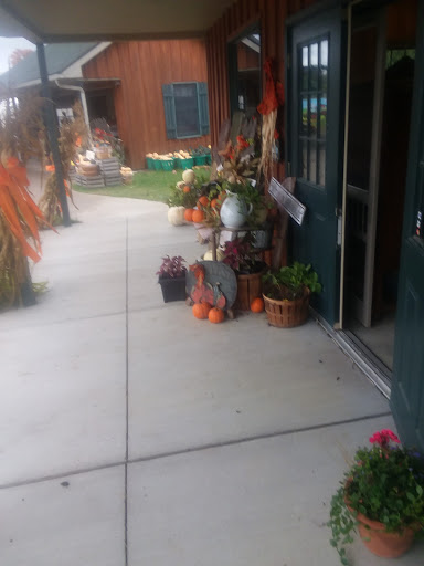 Produce Market «Rush Vegetables», reviews and photos, 2120 Eagle Harbor Waterport Rd, Albion, NY 14411, USA