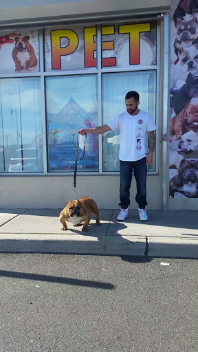 Pet Supply Store «Bully Zone Pet Supplies & Pet Grooming», reviews and photos, 1409 McCarter Hwy, Newark, NJ 07104, USA