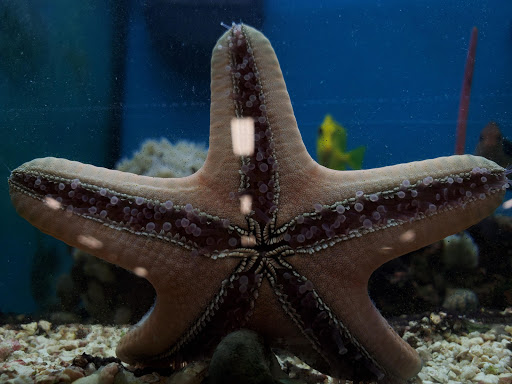 Pet Supply Store «Petco Animal Supplies», reviews and photos, 3731 Gateway Dr, Eau Claire, WI 54701, USA