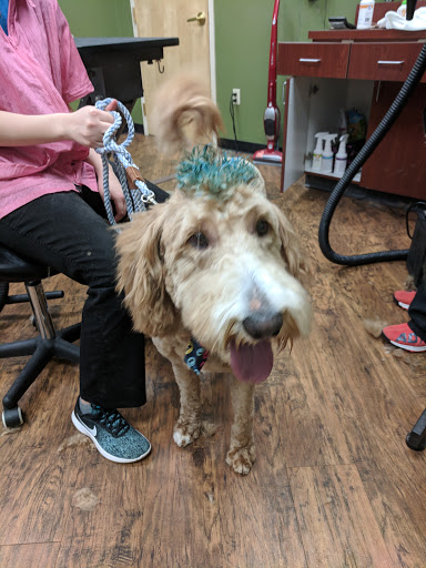 Pet Supply Store «EarthWise Pet Supply», reviews and photos, 7316 Yankee Rd, Liberty Township, OH 45044, USA