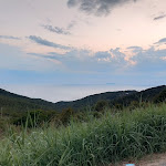 Photo n°4 de l'avis de Marco.e fait le 24/08/2021 à 20:41 sur le  Ristorante Da Ciaponi à Livorno