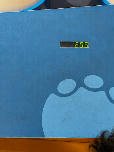 Tourist Attraction «Elephant Trails», reviews and photos, 3001 Connecticut Ave NW, Washington, DC 20008, USA