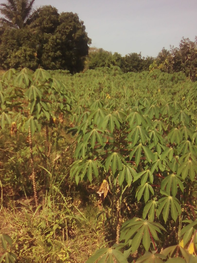 Orodara, Burkina Faso