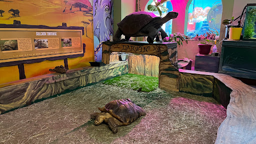 Aquarium «Biomes Marine Biology Center», reviews and photos, 6640 Post Rd, North Kingstown, RI 02852, USA