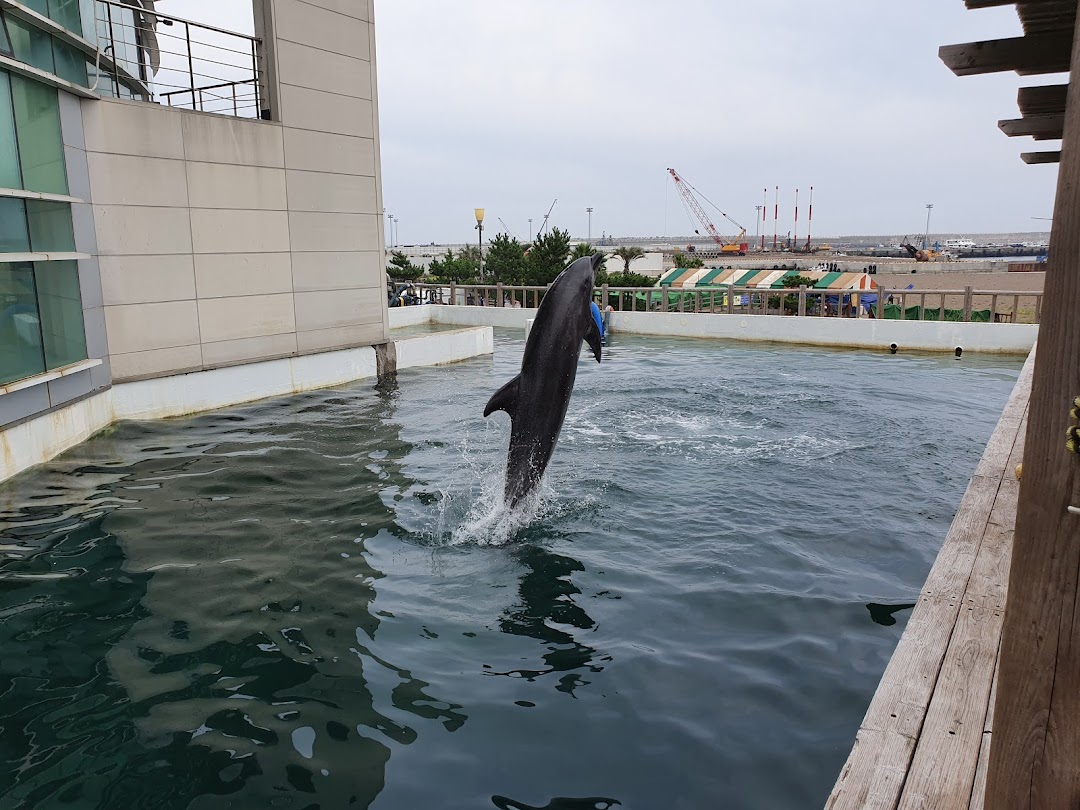 마린파크