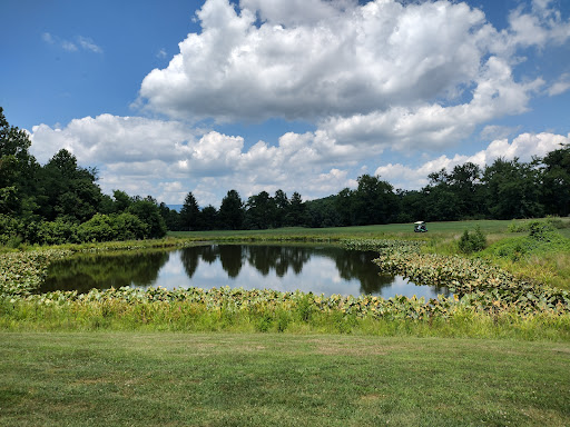 Public Golf Course «Valley View Golf Club», reviews and photos, 4638 US Hwy 220, Moorefield, WV 26836, USA