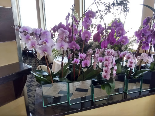 Observatory «Skywalk Observatory», reviews and photos, 800 Boylston St, Boston, MA 02199, USA