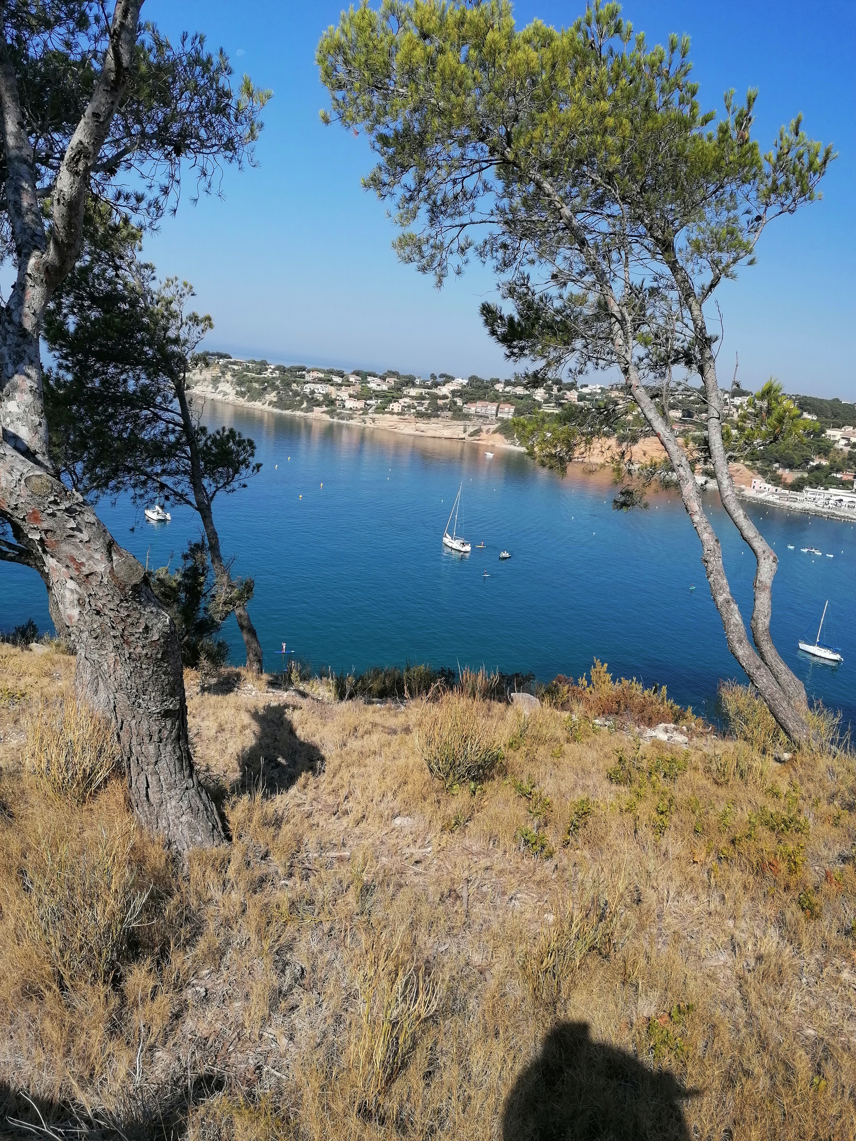 Photo n° 5 de l'avis de Pascale.E fait le 23/07/2022 à 16:53