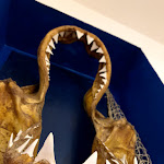 Photo n°17 de l'avis de Franco.a fait le 27/10/2018 à 14:11 sur le  Albergo Ristorante Bocche Di Bonifacio à Capo Testa