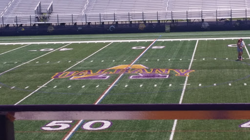 Stadium «Bob Ford Field At Tom & Mary Casey Stadium», reviews and photos, 1400 Washington Avenue, Albany, NY 12222, USA