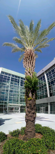 Criminal Justice Attorney «Law Office of W.F. Casey Ebsary Jr», reviews and photos