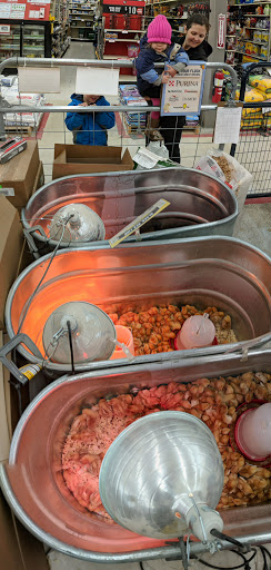 Home Improvement Store «Tractor Supply Co.», reviews and photos, 79 Weibel Ave, Saratoga Springs, NY 12866, USA