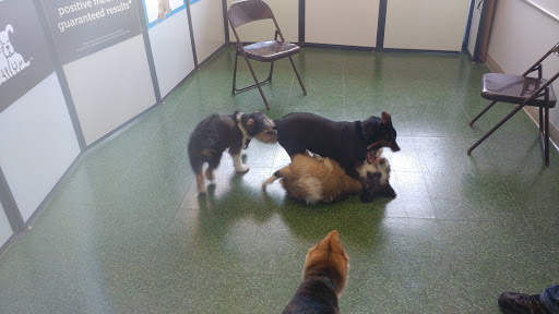 Pet Supply Store «Petco Animal Supplies», reviews and photos, 7040 Valley Creek Plaza, Woodbury, MN 55125, USA