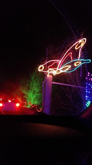 Festival Of Lights - photo 24