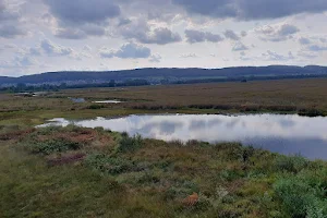 Großes Torfmoor image