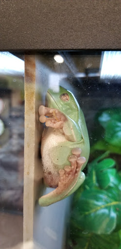 Pet Supply Store «Petco Animal Supplies», reviews and photos, 8580 Firestone Blvd, Downey, CA 90241, USA