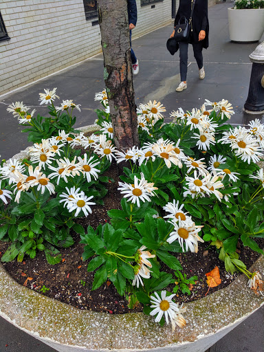 Art Museum «Cooper Hewitt Smithsonian Design Museum», reviews and photos, 2 E 91st St, New York, NY 10128, USA