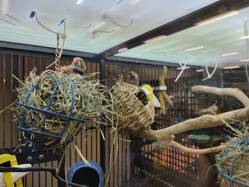 Pet Supply Store «PetSmart», reviews and photos, 7475 Greenbelt Rd, Greenbelt, MD 20770, USA