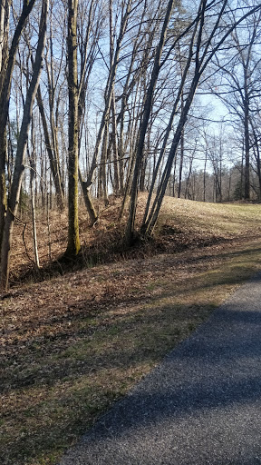 Tourist Attraction «French Broad Overlook», reviews and photos, 3938 Blue Ridge Pkwy, Arden, NC 28704, USA