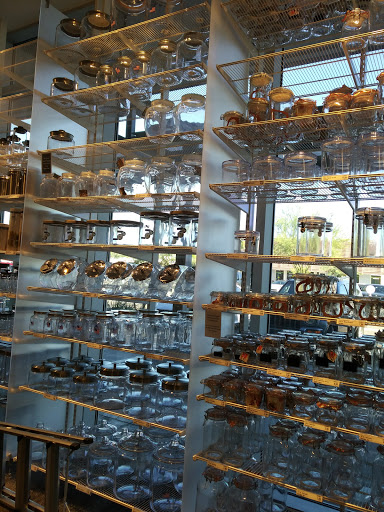 Shopping Mall «Town and Country Shopping Center», reviews and photos, 2021 E Camelback Rd, Phoenix, AZ 85016, USA