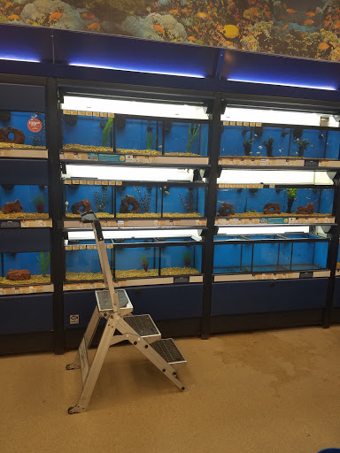 Pet Supply Store «Petco Animal Supplies», reviews and photos, 3012 Bridgepointe Pkwy, San Mateo, CA 94404, USA