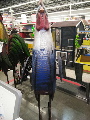 Home Improvement Store «Tractor Supply Co.», reviews and photos, 2648 Coweeman Park Dr, Kelso, WA 98626, USA