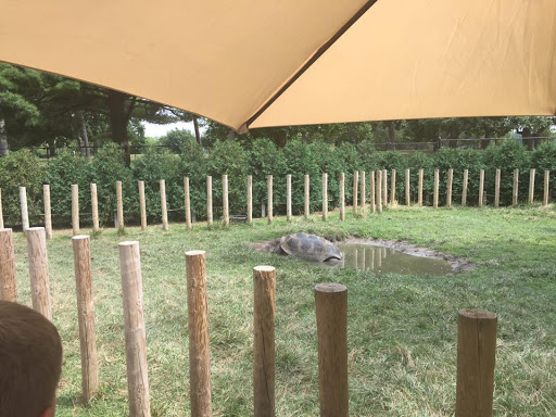 Aquarium «Toledo Zoo Aquarium», reviews and photos, 2700 Broadway St, Toledo, OH 43609, USA