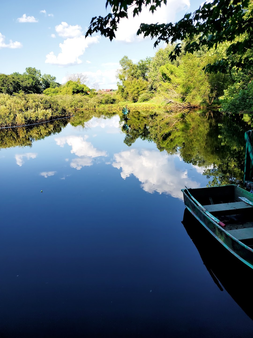 Aquatic Weed Control
