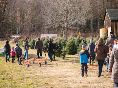 Chestnut Mountain Christmas Tree Farm