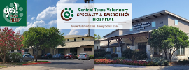 Central Texas Veterinary Speciality and Emergency Hospital- Round Rock - Car repair in Round Rock, TX, Round Rock - Rated 4.4/5