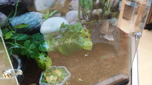 Pet Supply Store «Petco Animal Supplies», reviews and photos, 8404 Eager Rd b, Brentwood, MO 63144, USA