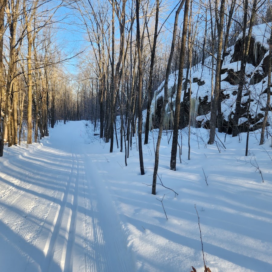 Wolverine Nordic Trails