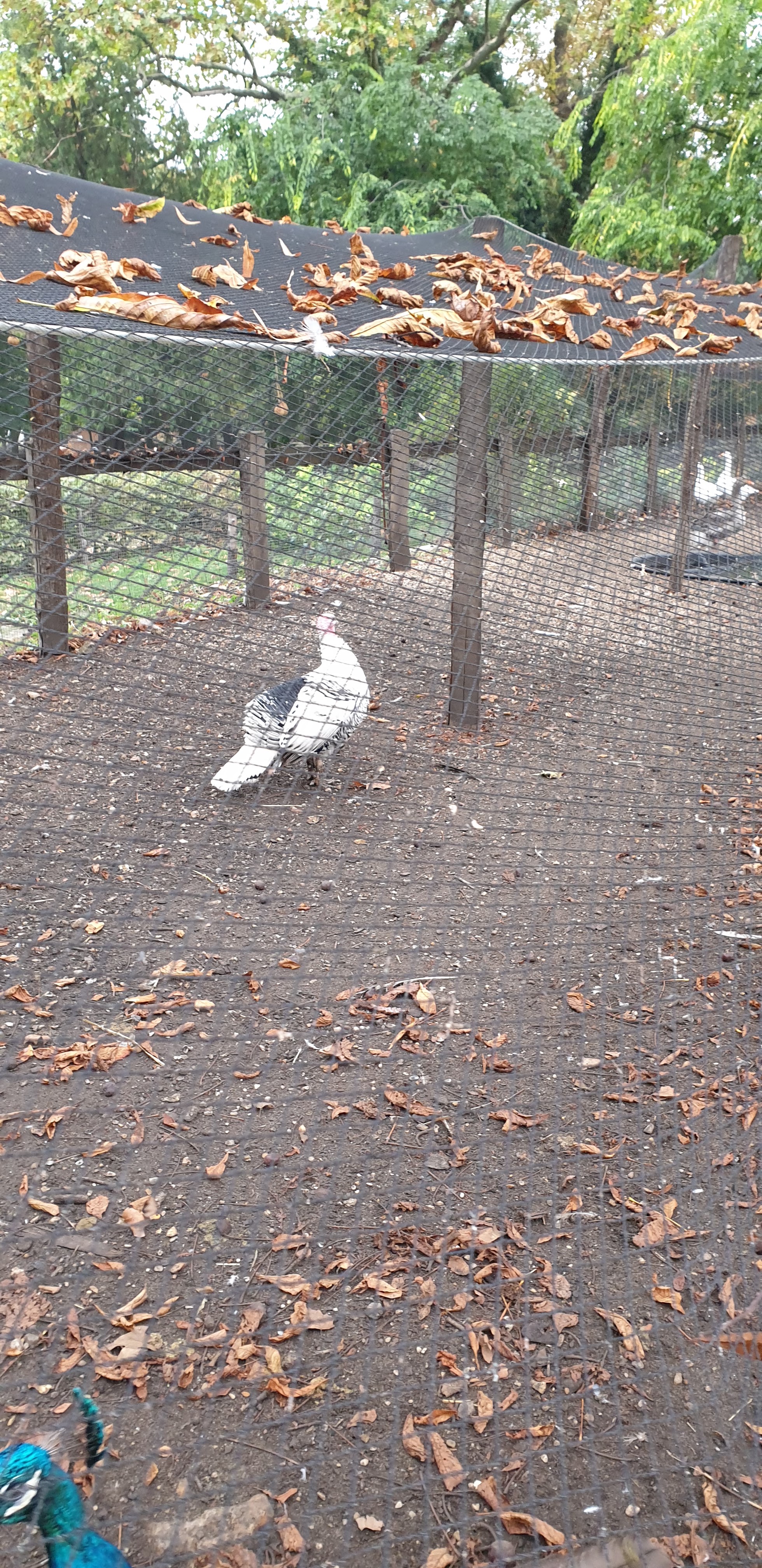 Photo n° 4 de l'avis de Julien.' fait le 23/10/2019 à 14:35