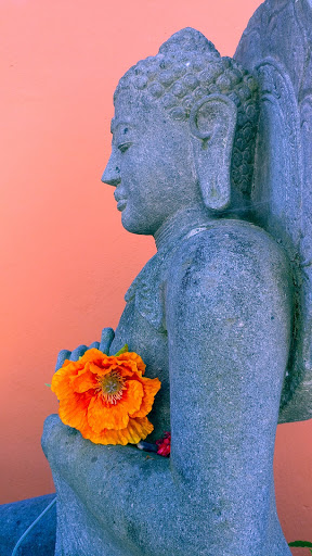 Wellness Center «Namaste Yoga + Wellness Berkeley», reviews and photos, 2820 Seventh Street, Berkeley, CA 94710, USA