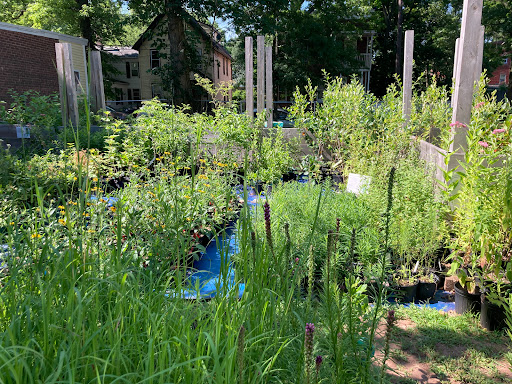 Urbanscapes Native Plant Nursery