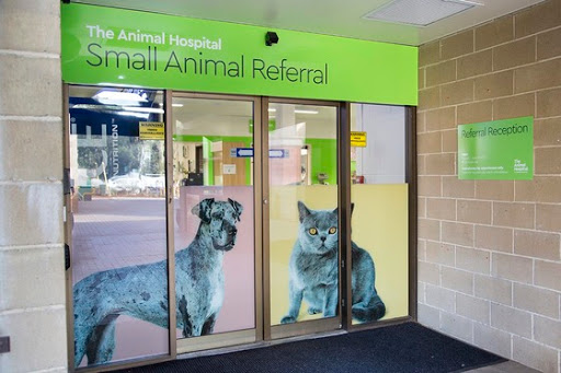 The Animal Hospital At Murdoch University