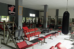 Pion Gym image