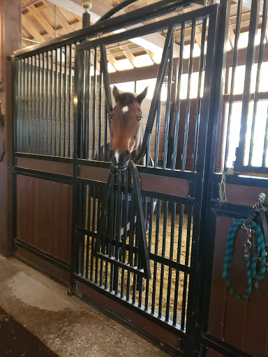 Stable «Lawton Stables», reviews and photos, 190 Greenwood Dr, Hilton Head Island, SC 29928, USA