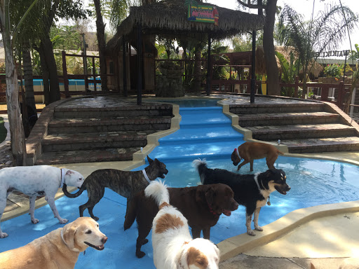 Paradise Ranch Pet Resort