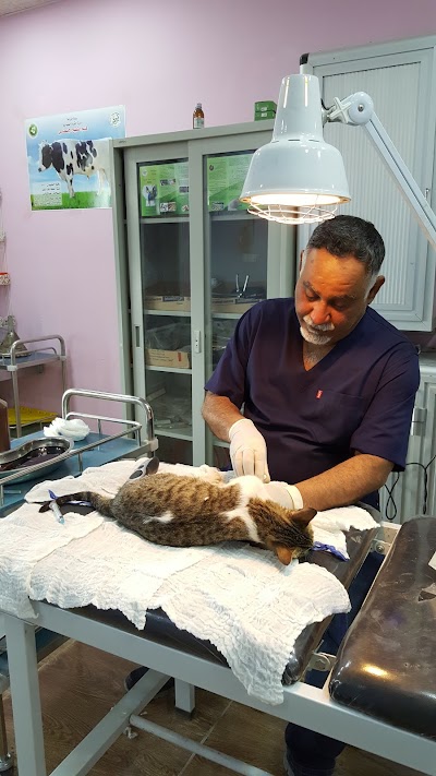 veterinary-care