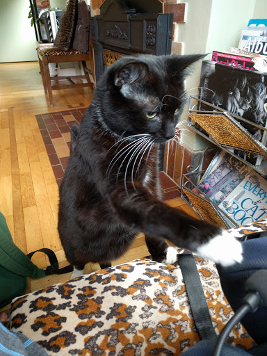 Beauty Salon «Myong Sae Salon & Spa», reviews and photos, 1820 State Ave NE, Olympia, WA 98506, USA