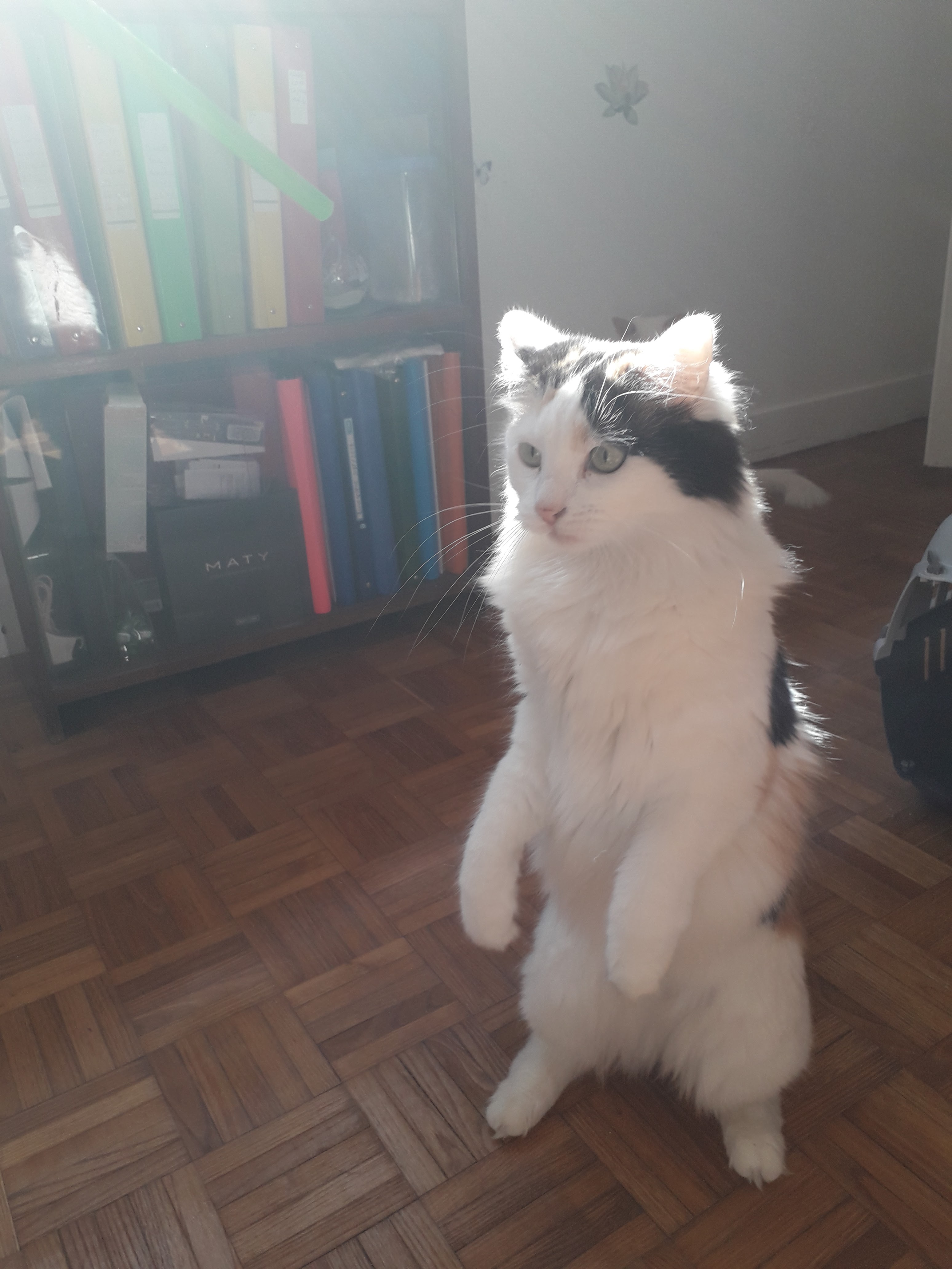 Photo n° 9 de l'avis de Kayla.b fait le 09/12/2018 à 10:02