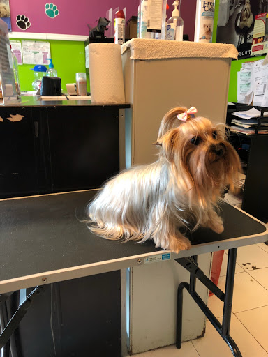 Pet Groomer «Puppies & Grooming», reviews and photos, 28858 S Dixie Hwy, Homestead, FL 33033, USA